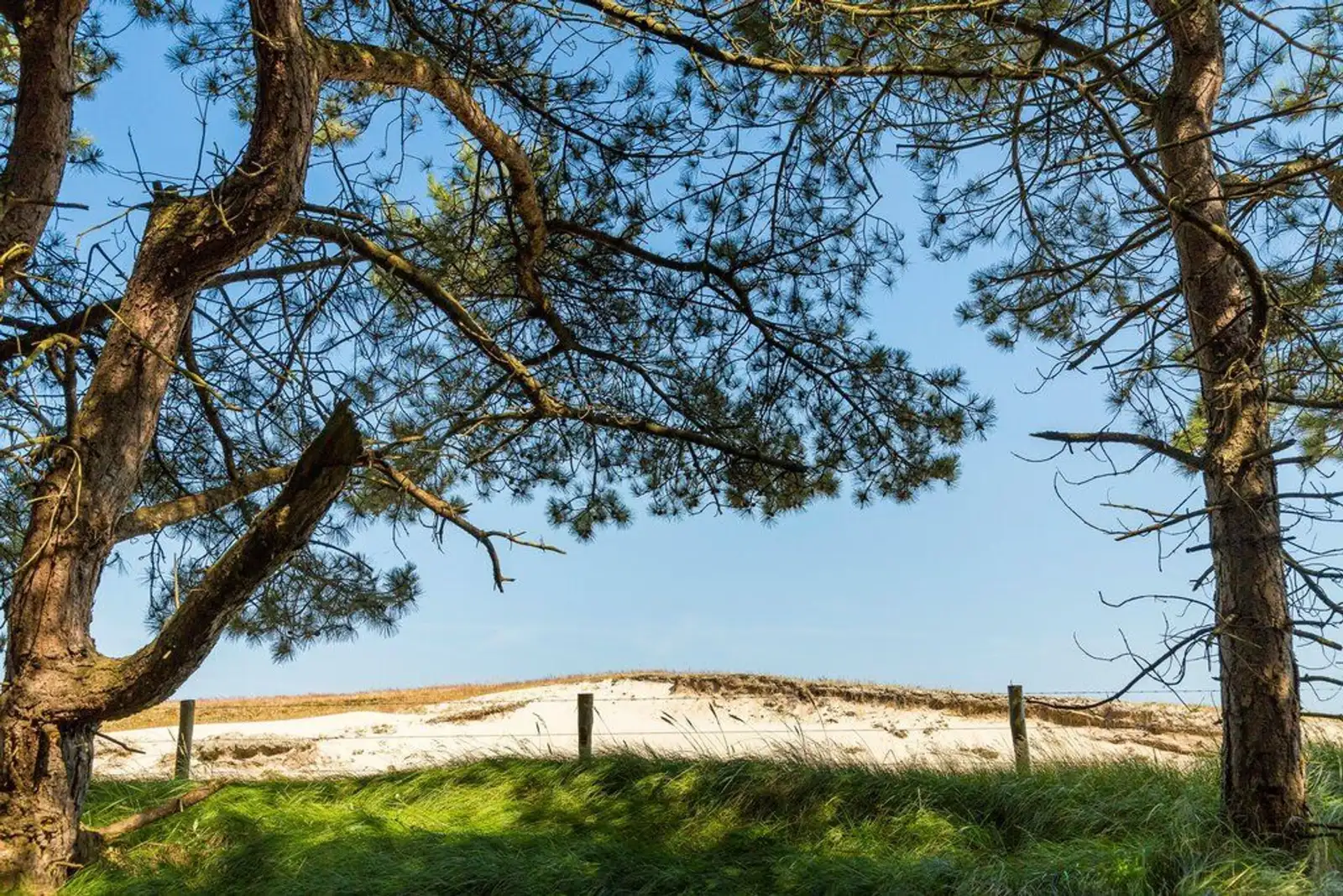 Landgoed Schouwse Hoeve, Renesse – duinen bij het landgoed