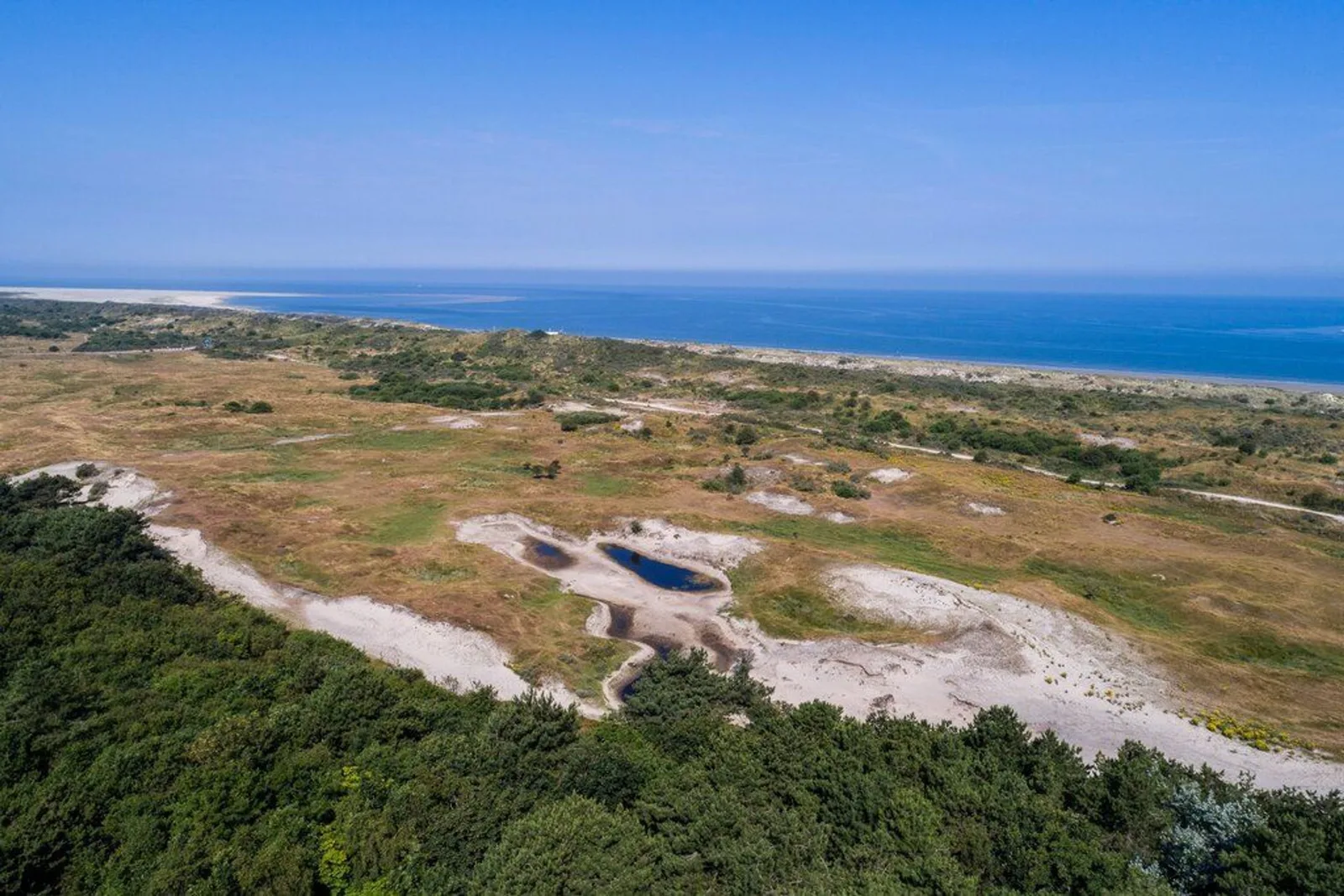Landgoed Schouwse Hoeve, Renesse – duinlandschap