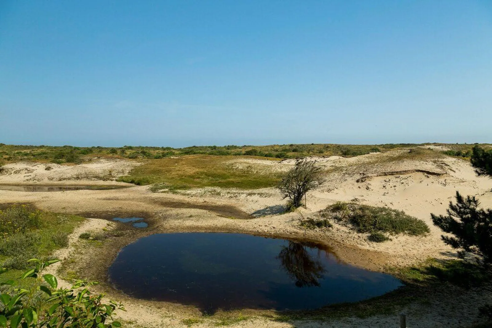 Landgoed Schouwse Hoeve, Renesse – duinmeer